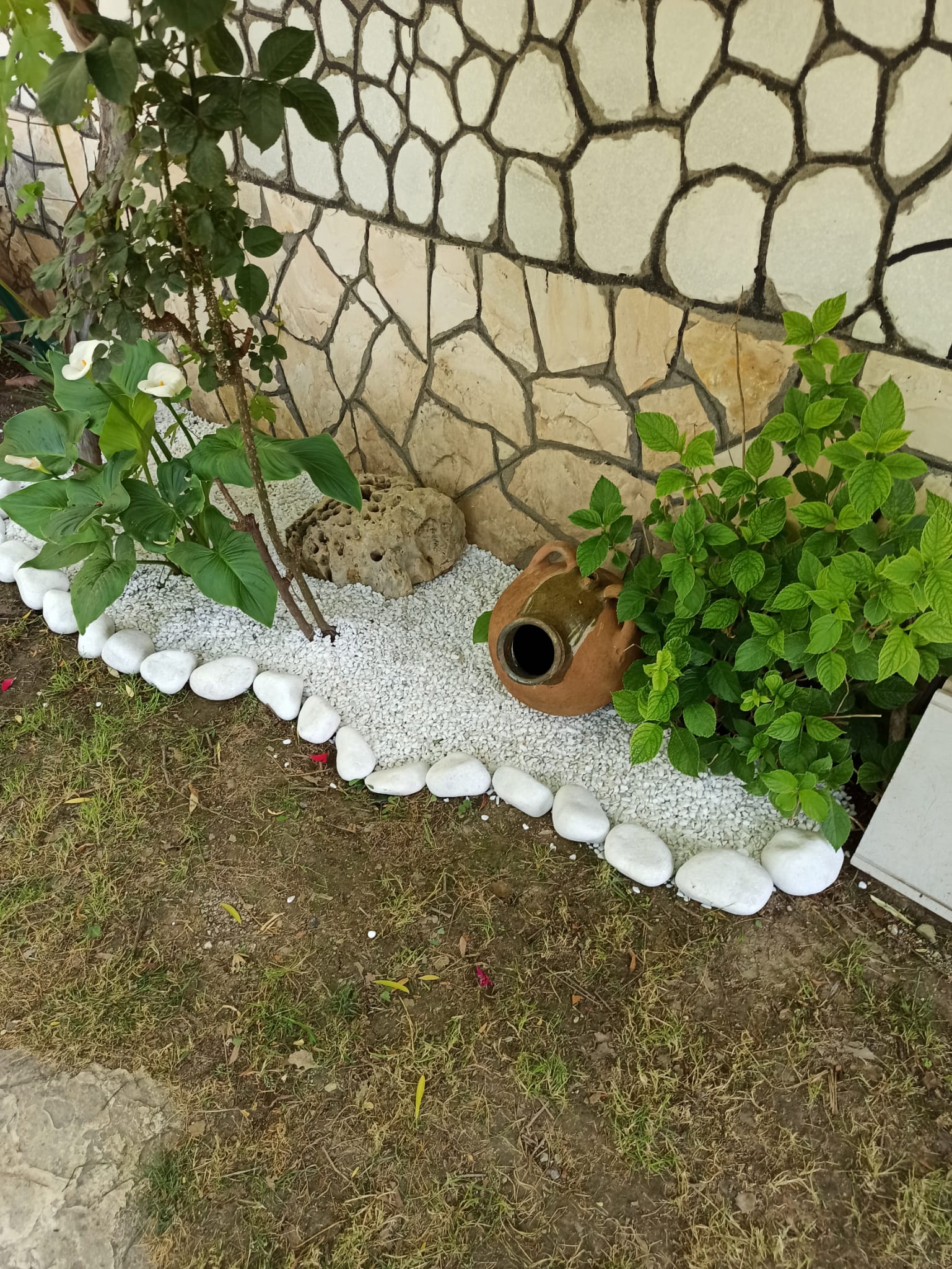 Çavlan Peyzaj Profesyonel Bahçe Düzenlemesi